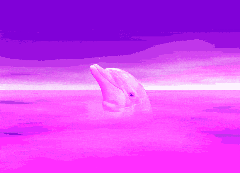 Основные правила администрации