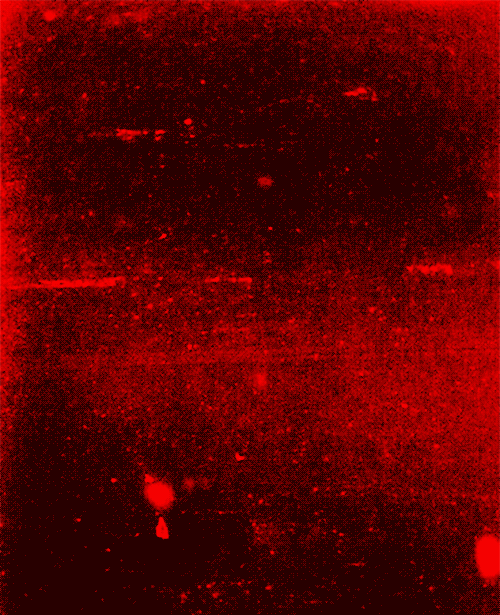 Правила поведения на форуме и социальных соцсетях